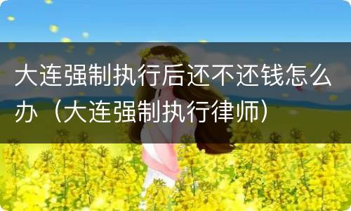 大连强制执行后还不还钱怎么办（大连强制执行律师）