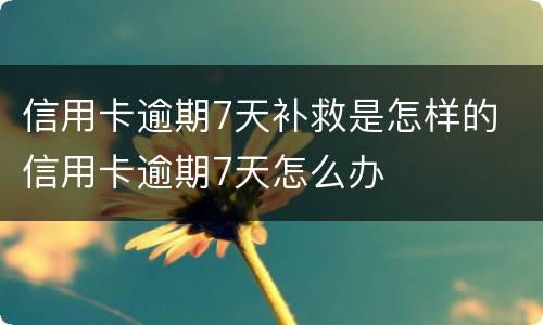 信用卡逾期7天补救是怎样的 信用卡逾期7天怎么办
