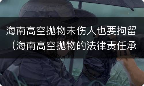 海南高空抛物未伤人也要拘留（海南高空抛物的法律责任承担）