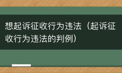 想起诉征收行为违法（起诉征收行为违法的判例）