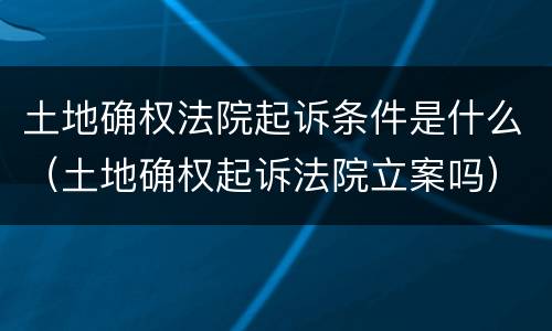 土地确权法院起诉条件是什么（土地确权起诉法院立案吗）