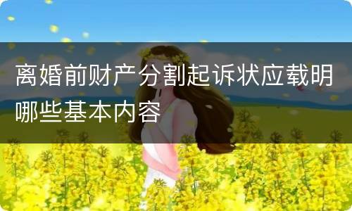 离婚前财产分割起诉状应载明哪些基本内容