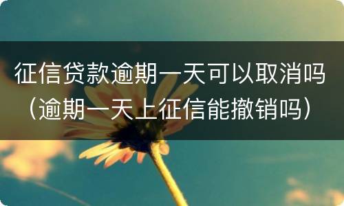 征信贷款逾期一天可以取消吗（逾期一天上征信能撤销吗）