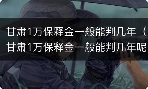 甘肃1万保释金一般能判几年（甘肃1万保释金一般能判几年呢）
