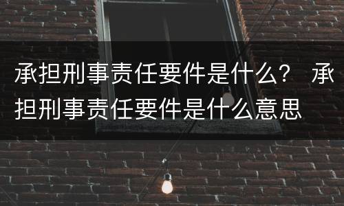 承担刑事责任要件是什么？ 承担刑事责任要件是什么意思