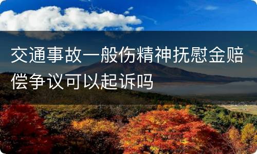 交通事故一般伤精神抚慰金赔偿争议可以起诉吗