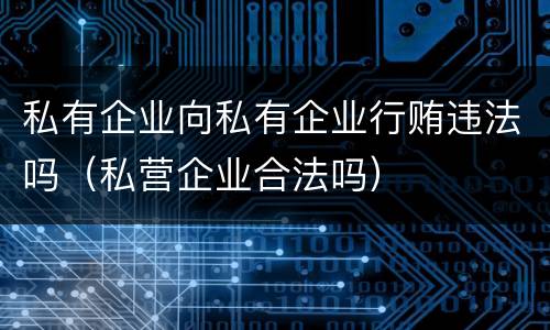 私有企业向私有企业行贿违法吗（私营企业合法吗）