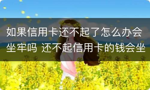 如果信用卡还不起了怎么办会坐牢吗 还不起信用卡的钱会坐牢吗