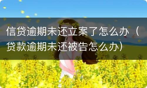 信贷逾期未还立案了怎么办（贷款逾期未还被告怎么办）