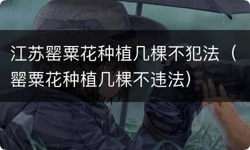 江苏罂粟花种植几棵不犯法（罂粟花种植几棵不违法）