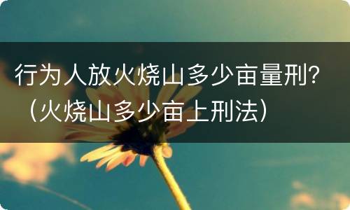 行为人放火烧山多少亩量刑？（火烧山多少亩上刑法）