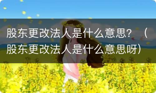 股东更改法人是什么意思？（股东更改法人是什么意思呀）