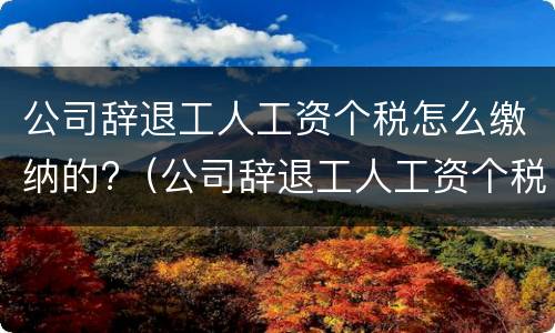 公司辞退工人工资个税怎么缴纳的?（公司辞退工人工资个税怎么缴纳的呀）