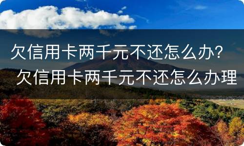 欠信用卡两千元不还怎么办？ 欠信用卡两千元不还怎么办理