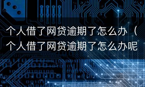 个人借了网贷逾期了怎么办（个人借了网贷逾期了怎么办呢）
