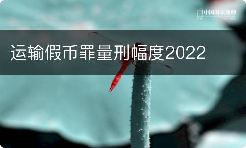 运输假币罪量刑幅度2022