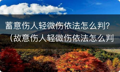 蓄意伤人轻微伤依法怎么判？（故意伤人轻微伤依法怎么判）