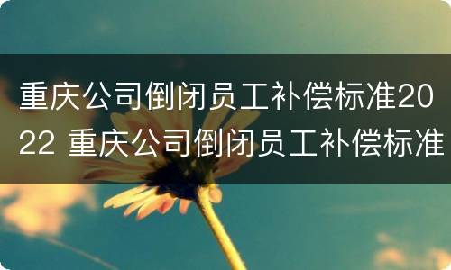 重庆公司倒闭员工补偿标准2022 重庆公司倒闭员工补偿标准2022年