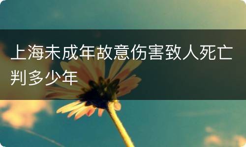 上海未成年故意伤害致人死亡判多少年