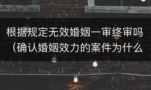 根据规定无效婚姻一审终审吗（确认婚姻效力的案件为什么一审终审）