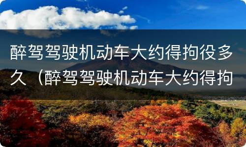 醉驾驾驶机动车大约得拘役多久（醉驾驾驶机动车大约得拘役多久判刑）