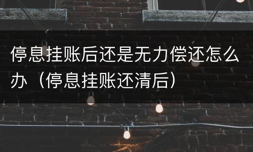 停息挂账后还是无力偿还怎么办（停息挂账还清后）