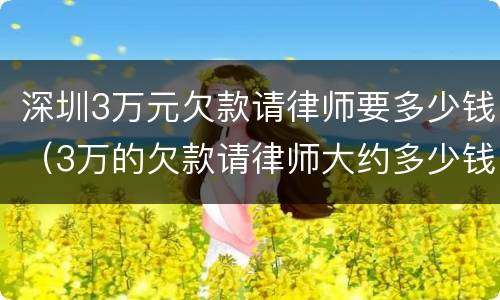 深圳3万元欠款请律师要多少钱（3万的欠款请律师大约多少钱）