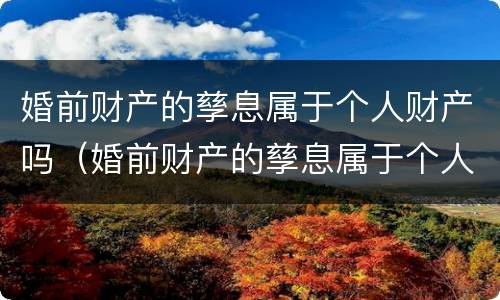 婚前财产的孳息属于个人财产吗（婚前财产的孳息属于个人财产吗）