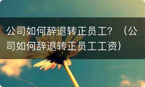 公司如何辞退转正员工？（公司如何辞退转正员工工资）