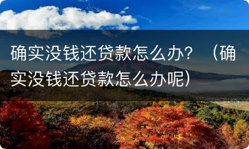 确实没钱还贷款怎么办？（确实没钱还贷款怎么办呢）