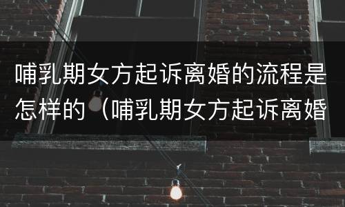 哺乳期女方起诉离婚的流程是怎样的（哺乳期女方起诉离婚孩子归谁）