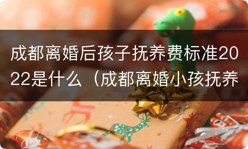 成都离婚后孩子抚养费标准2022是什么（成都离婚小孩抚养费标准）