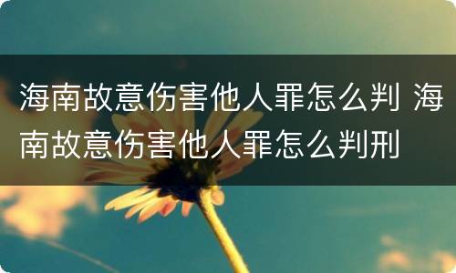 海南故意伤害他人罪怎么判 海南故意伤害他人罪怎么判刑