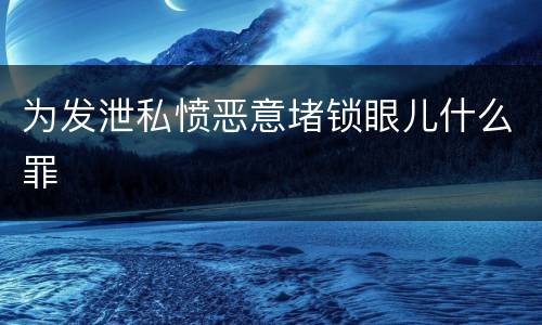 为发泄私愤恶意堵锁眼儿什么罪