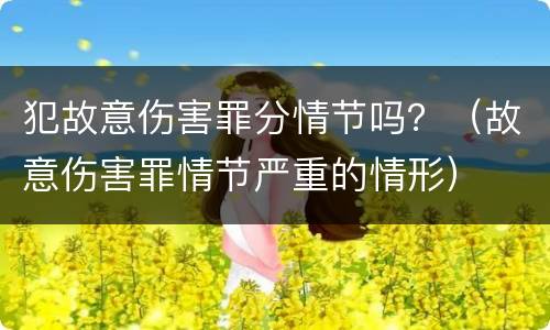 犯故意伤害罪分情节吗？（故意伤害罪情节严重的情形）