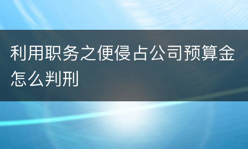 利用职务之便侵占公司预算金怎么判刑
