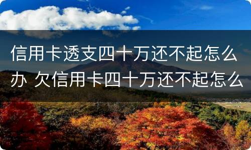 信用卡透支四十万还不起怎么办 欠信用卡四十万还不起怎么办