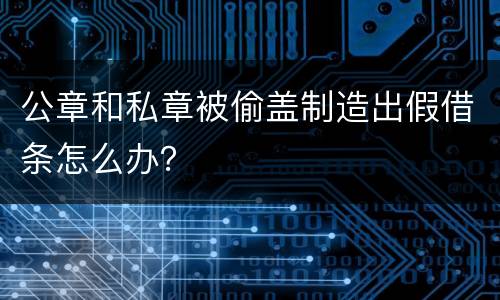 公章和私章被偷盖制造出假借条怎么办？