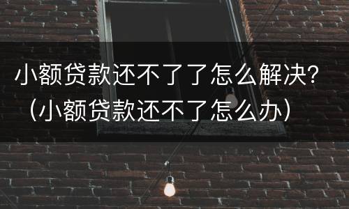 小额贷款还不了了怎么解决？（小额贷款还不了怎么办）