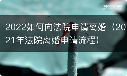 2022如何向法院申请离婚（2021年法院离婚申请流程）