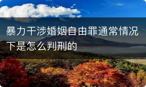 暴力干涉婚姻自由罪通常情况下是怎么判刑的