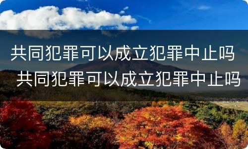 共同犯罪可以成立犯罪中止吗 共同犯罪可以成立犯罪中止吗对吗