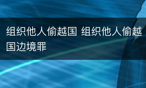组织他人偷越国 组织他人偷越国边境罪