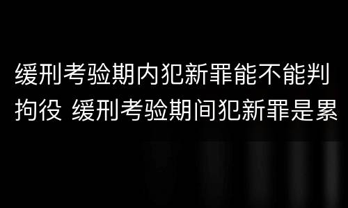 缓刑考验期内犯新罪能不能判拘役 缓刑考验期间犯新罪是累犯吗