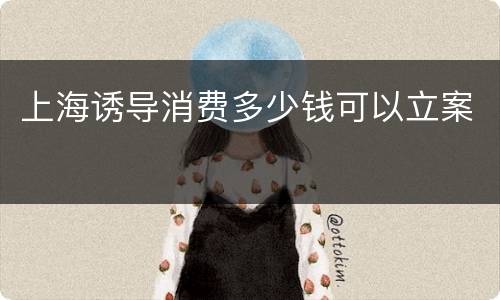 上海诱导消费多少钱可以立案