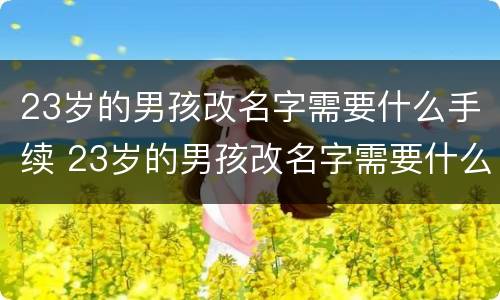 23岁的男孩改名字需要什么手续 23岁的男孩改名字需要什么手续和证件