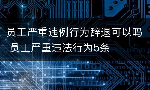 员工严重违例行为辞退可以吗 员工严重违法行为5条