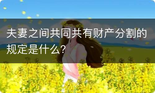 夫妻之间共同共有财产分割的规定是什么？