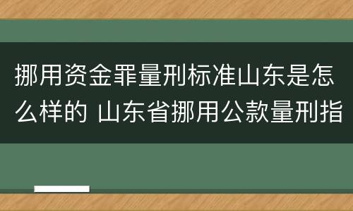 挪用资金罪量刑标准山东是怎么样的 山东省挪用公款量刑指导意见