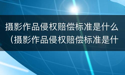 摄影作品侵权赔偿标准是什么（摄影作品侵权赔偿标准是什么意思）